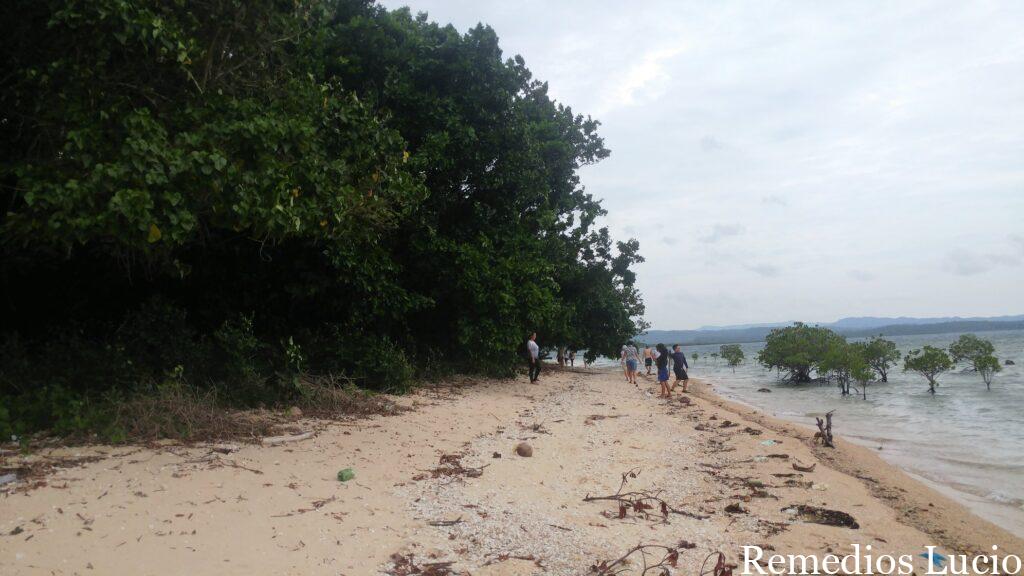 Image of a beach