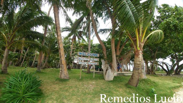 Image of a beach