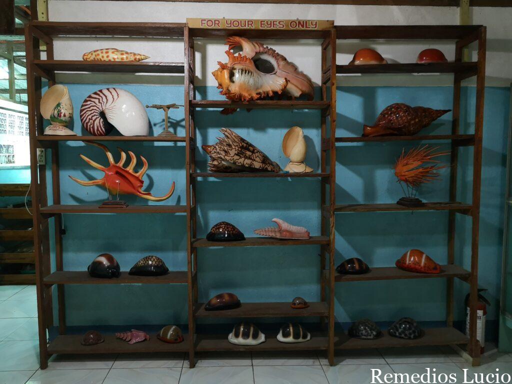 Image of a museum