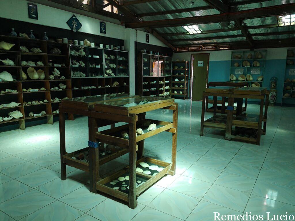 Image of a museum