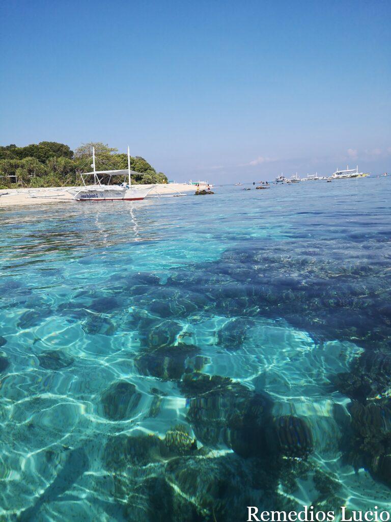 Image of a beach